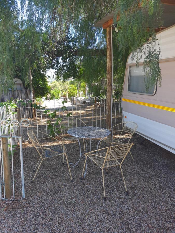 Oasis Shanti Backpackers Oudtshoorn Exteriér fotografie